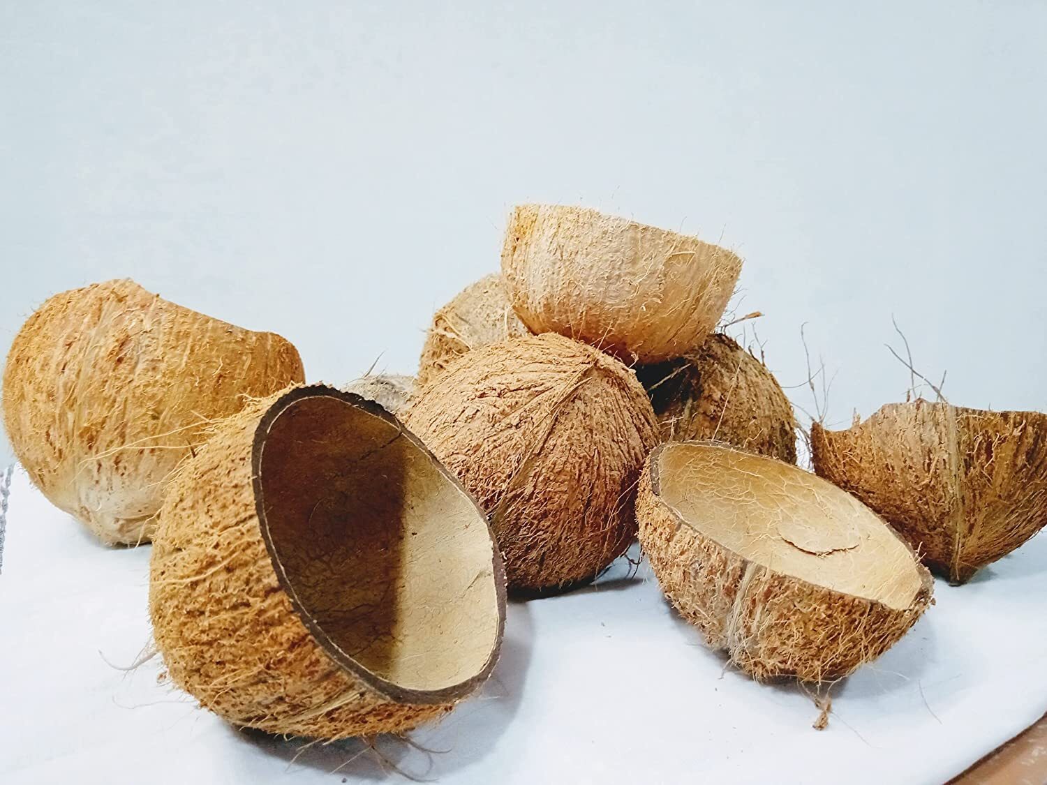COCONUT SHELL 2