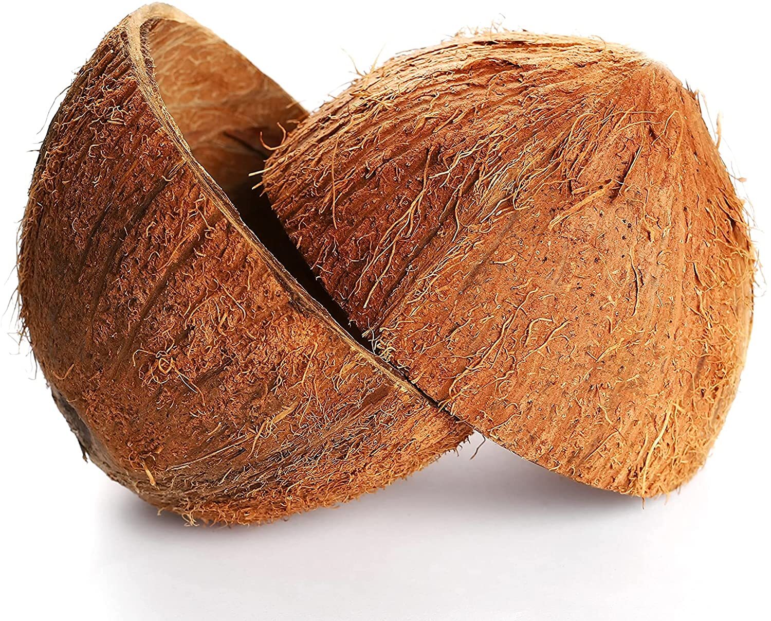 COCONUT SHELL 3